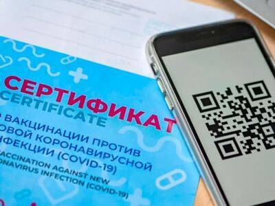 РБК: Российские власти обсуждают введение QR-кодов в самолетах и поездах