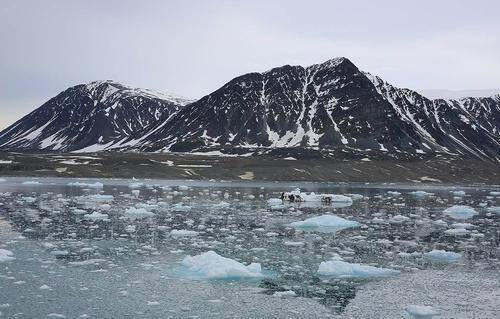 Росприроднадзор назвал количество экологических нарушений в Арктике