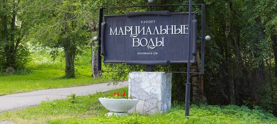 Профсоюзы Карелии продали санаторий «Марциальные воды» почти за 96 млн рублей