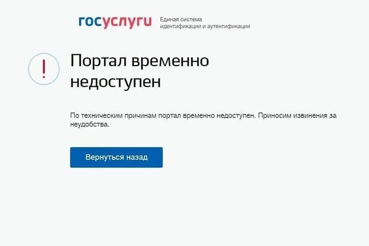 Петербуржцы пожаловались на очередной сбой в работе сервиса «Госуслуги»