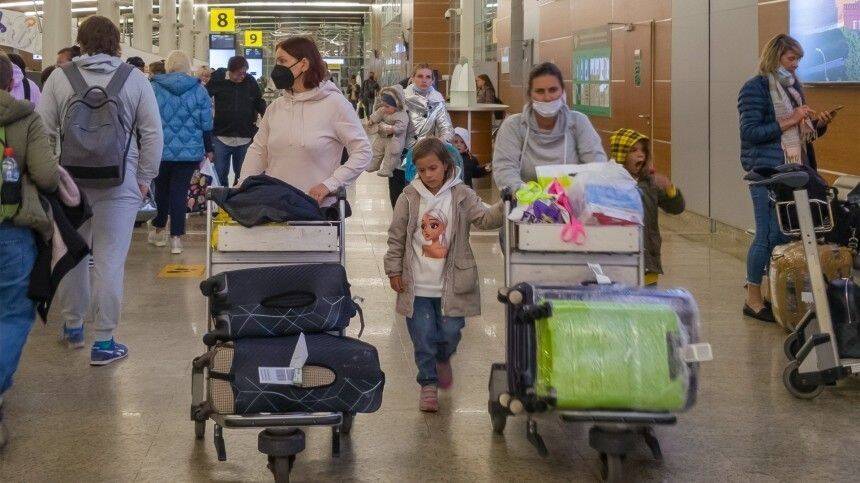 Почти 500 туристов не могут вылететь на отдых в Египет из Новосибирска