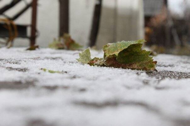 Синоптики рассказали, когда в Башкирии установится снежный покров