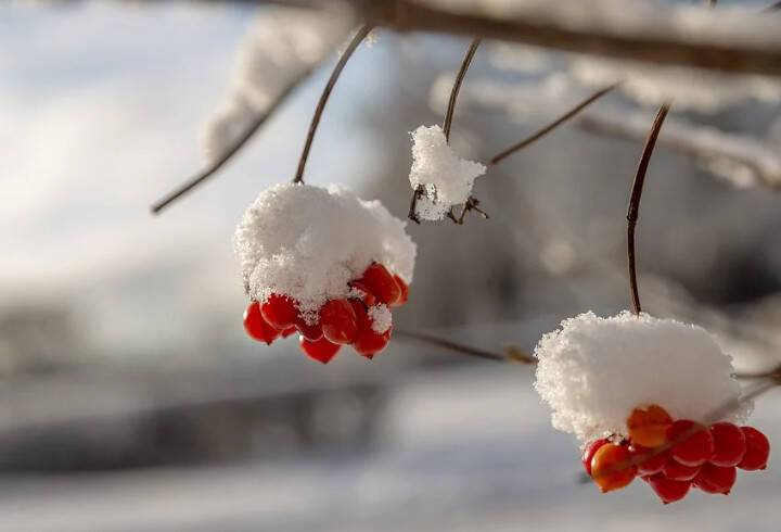 Главный синоптик Петербурга предупредил горожан о снежной зиме