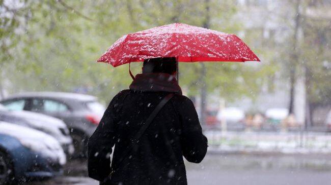 МЧС предупредило об опасной погоде в Москве 12 ноября