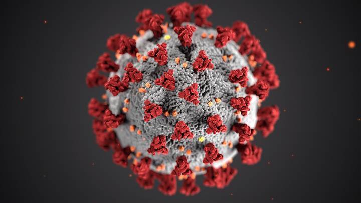 В России за сутки выявили 40 123 новый случая коронавируса