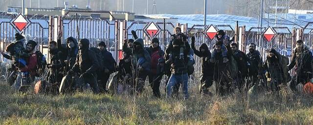 Группа мигрантов прорвалась из Белоруссии в Польшу на КПП «Брузги»