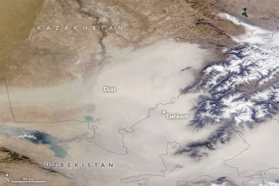 Пыль, захватившая Ташкент, пришла с юга Казахстана. Эта пыльная буря может быть одной из самых худших по загрязнению воздуха в мире – ученый из США