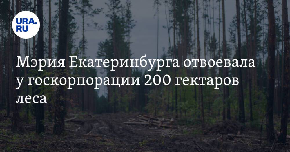 Мэрия Екатеринбурга отвоевала у госкорпорации 200 гектаров леса