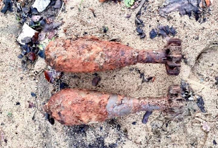Неподалеку от ЛАЭС в Ленобласти нашли мины времён войны