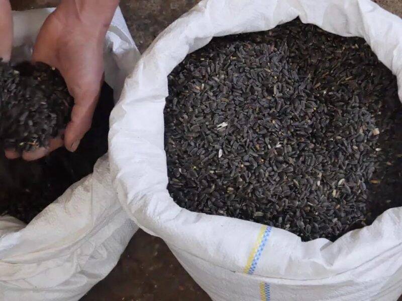 В Кемерове вор-рецидивист украл семечек на сумму 870 тысяч рублей