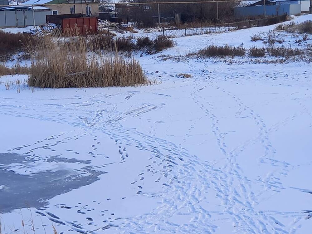 В Еманжелинске пенсионер утонул во время рыбалки на тонком льду