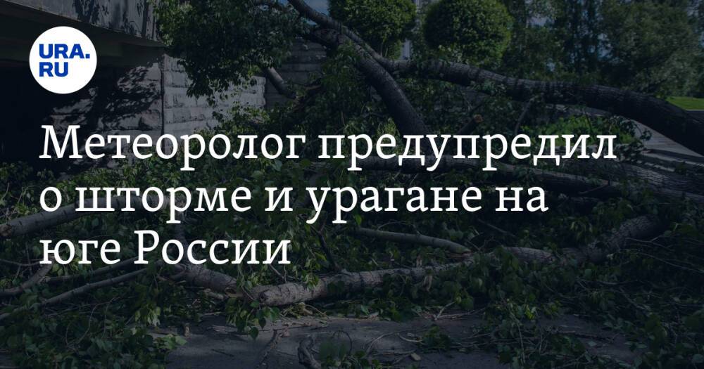Метеоролог предупредил о шторме и урагане на юге России. «Деревья повалит, крыши снесет»