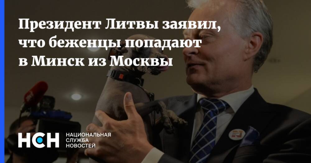 Президент Литвы заявил, что беженцы попадают в Минск из Москвы