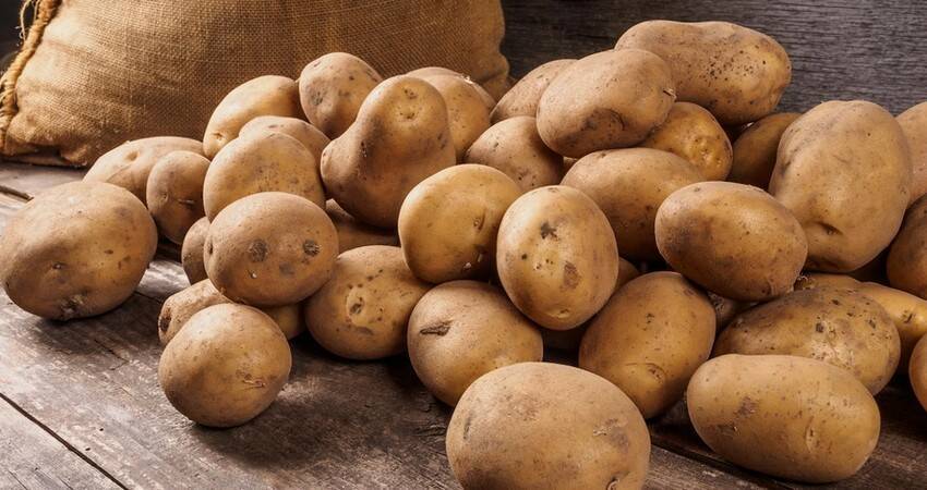 Беларусь за 9 месяцев экспортировала 90 тыс. т картофеля
