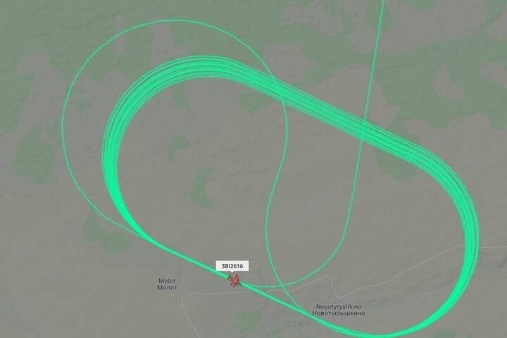 Самолет из Томска готовится к аварийной посадке в Новосибирске