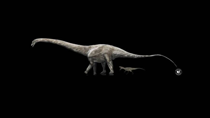 В США нашли кости самого длинного динозавра в истории