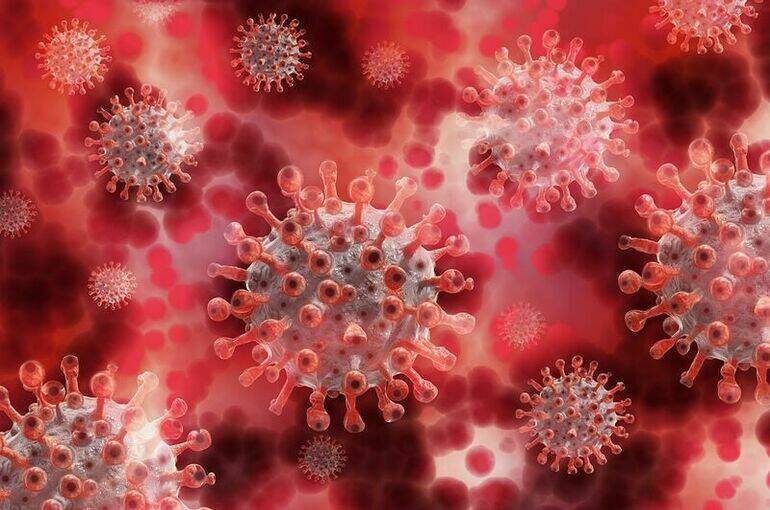 За сутки в России от коронавируса умерло 1 240 человек