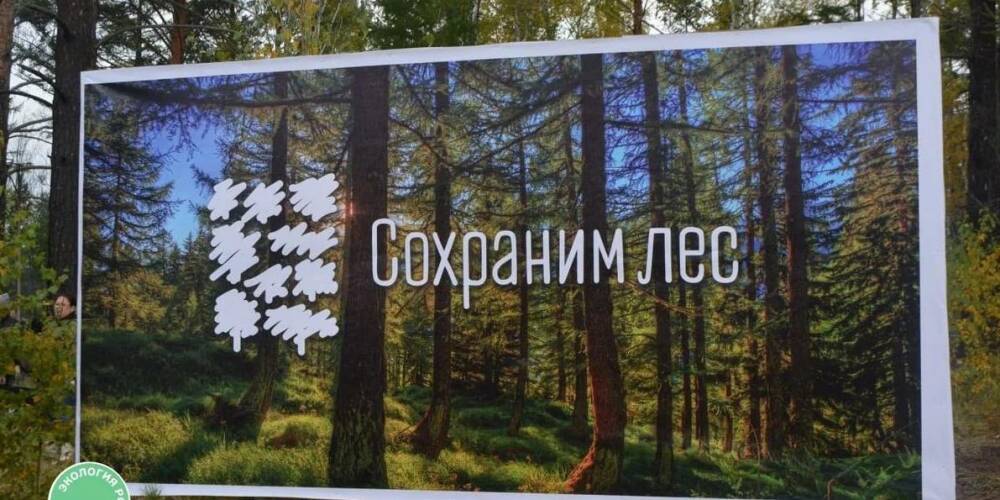 В рамках акции "Сохраним лес" высадили 70 млн саженцев