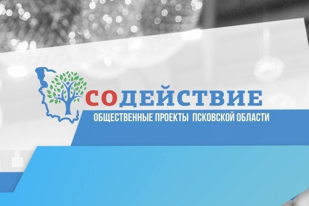 160 псковских СОНКО примут участие в региональном форуме «Содействие»