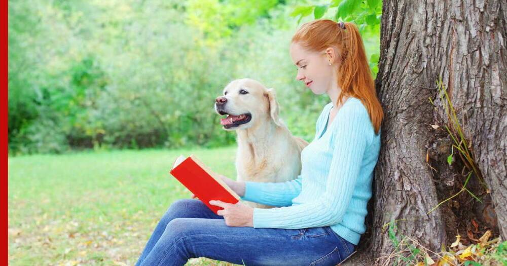 Спокойные и верные: 8 пород собак-единомышленников для интровертов