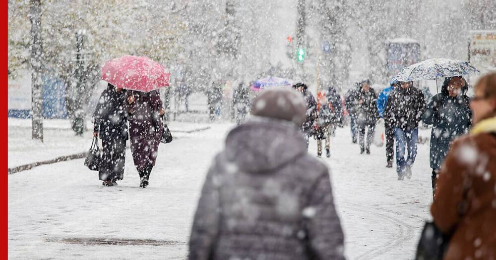 Москвичей предупредили о рекордном мокром снегопаде и штормовом ветре