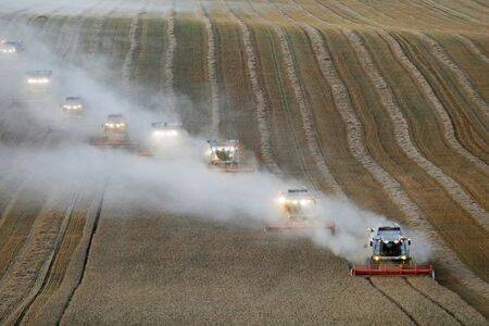 Урожай зерна в РФ в 2022 году ожидается на уровне 123-126 млн т, пшеницы - 75-84 млн т - аналитики