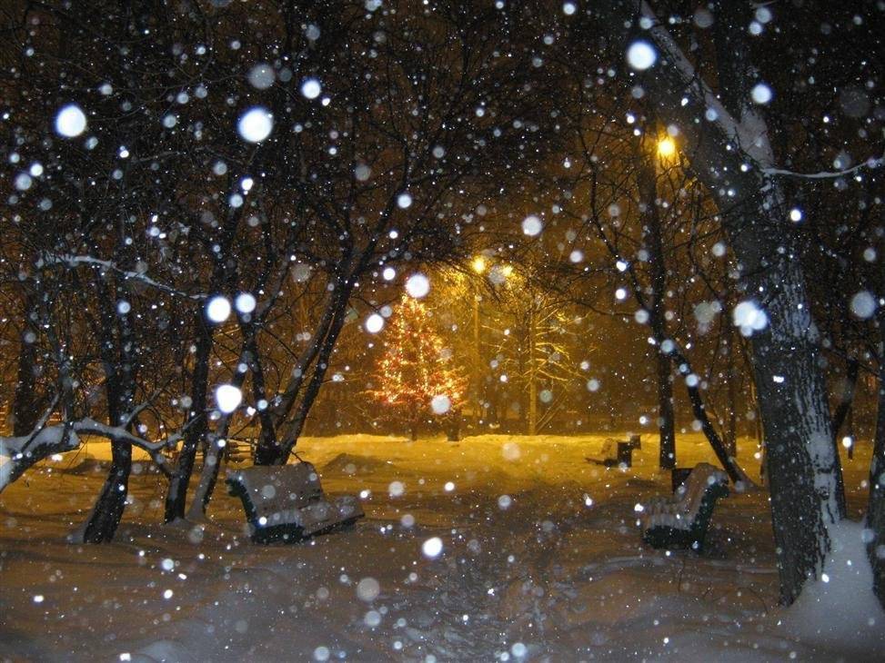 Дождь и мокрый снег ожидают жителей Ленобласти 19 ноября