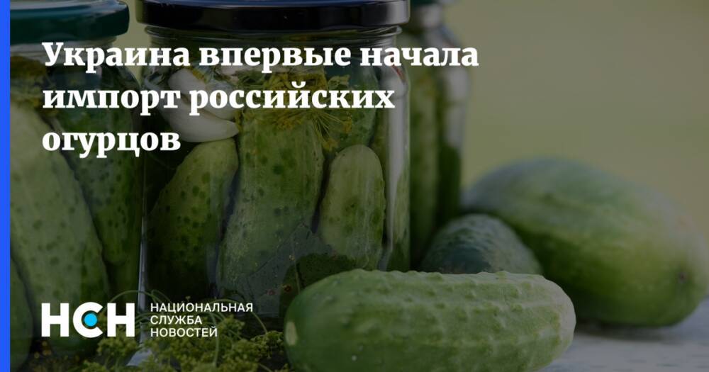 Украина впервые начала импорт российских огурцов