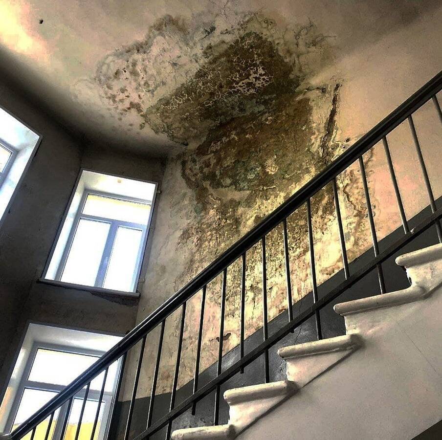 Плесень обнаружили на потолке больницы в Дзержинске