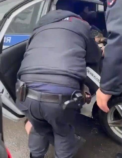 В Петербурге полиция жестко задержала школьницу. Ее силой пытались посадить в машину