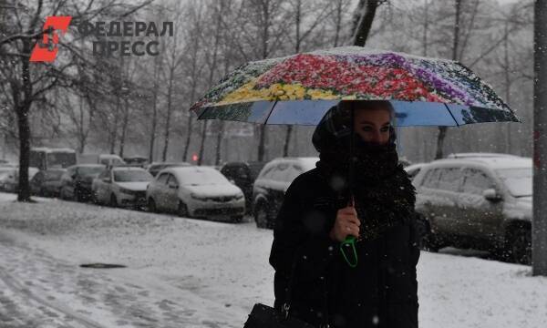 В Нижнем Новгороде могут появиться две новые станции снеготаяния
