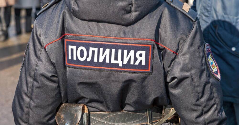 В Петербурге проверят полицейских, скрутивших школьницу