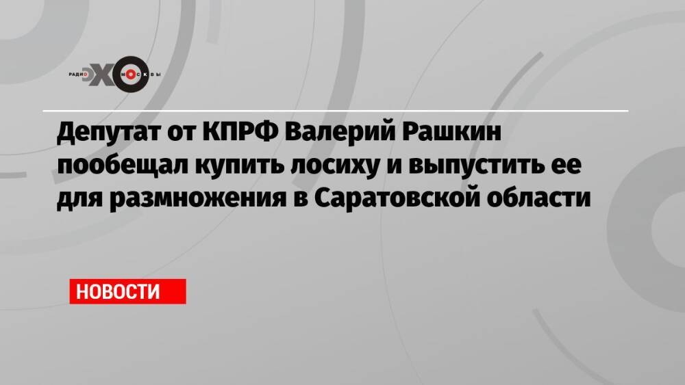 Депутат от КПРФ Валерий Рашкин пообещал купить лосиху и выпустить ее для размножения в Саратовской области