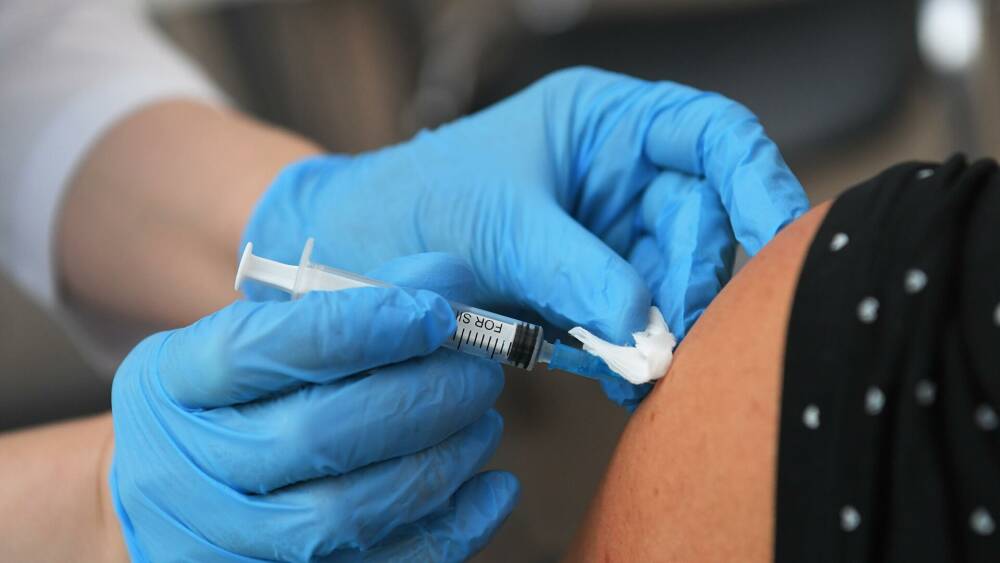 В Ленобласти вакцинацию прошло порядка 790 тысяч человек