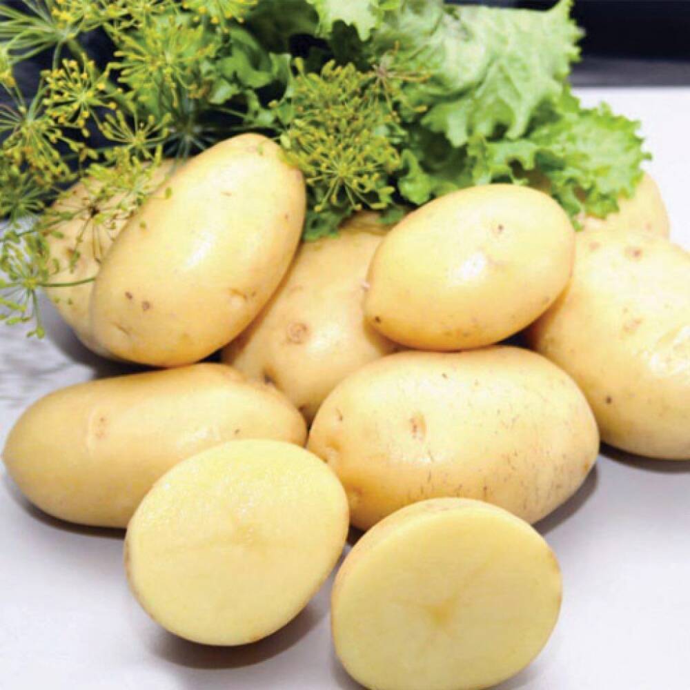 Сорт картофеля Нандина: характеристика, отзывы, фото