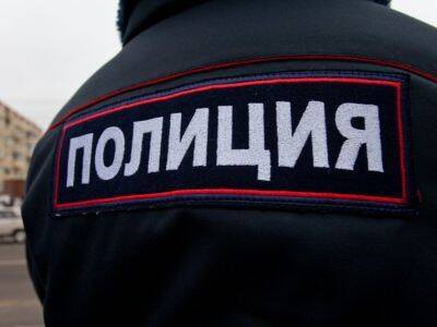 В Петербурге возбудили уголовное дело после того, как полицейские с применением силы задержали 14-летнюю школьницу
