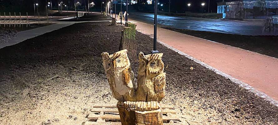 Житель Карелии украсил свой город деревянными совами (ФОТО)