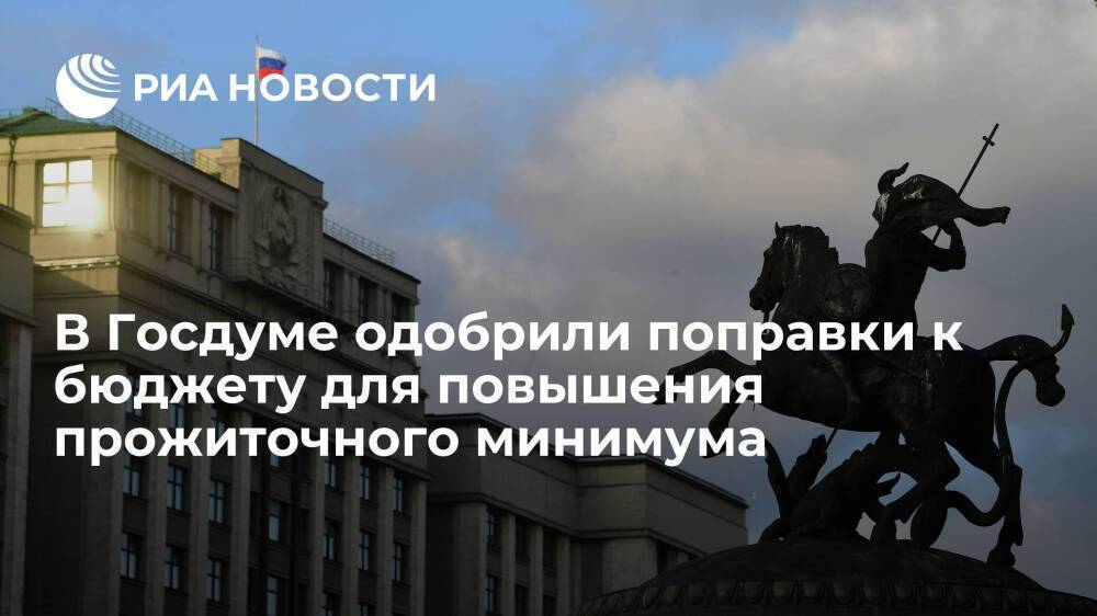 В Госдуме одобрили поправки Путина к бюджету для повышения прожиточного минимума и МРОТ