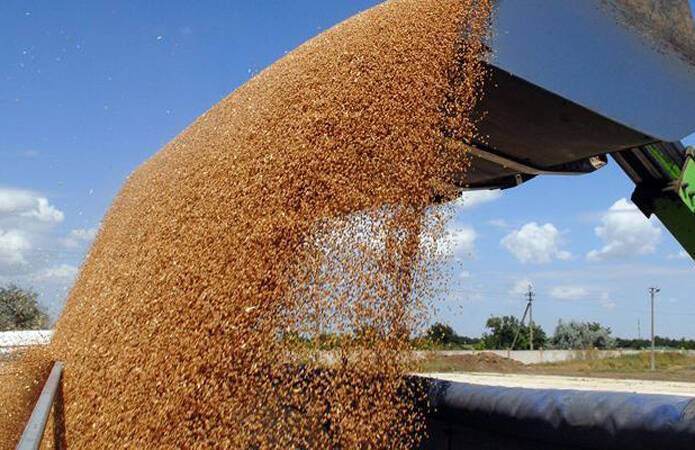 Минэкономики: Украина намерена экспортировать более 60 млн т зерна