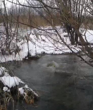 Жители Златоуста пожаловались на сброс канализационных стоков в реку Ай