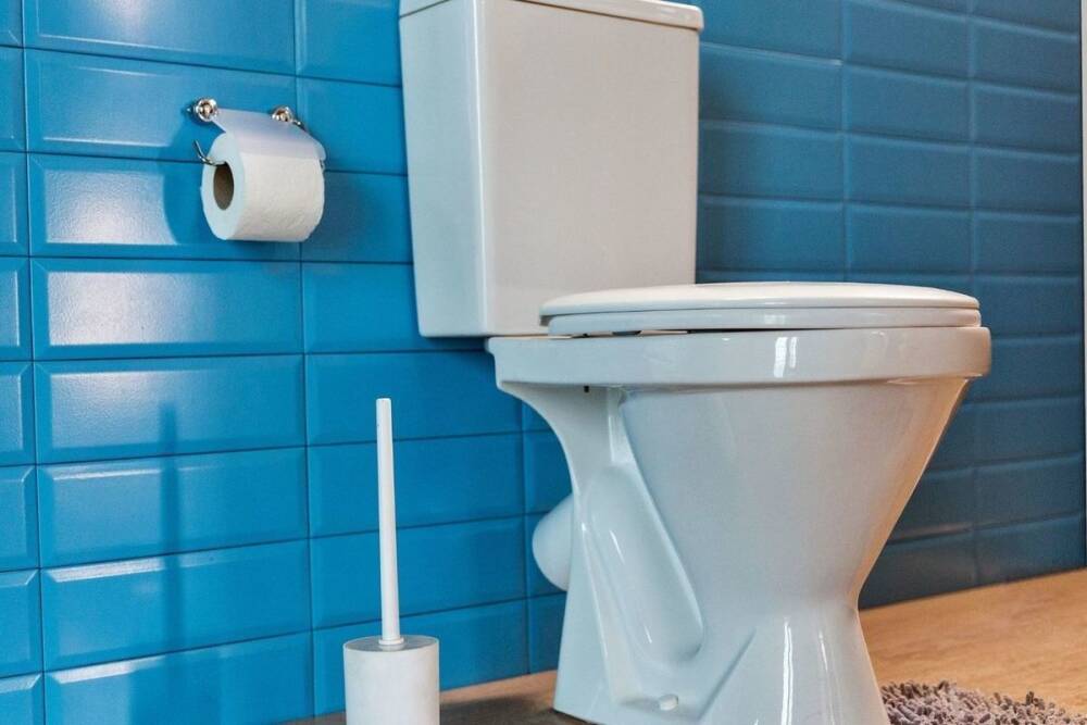 Петербургский «Водоканал» отпраздновал День туалета в стиле «Игры в кальмара»