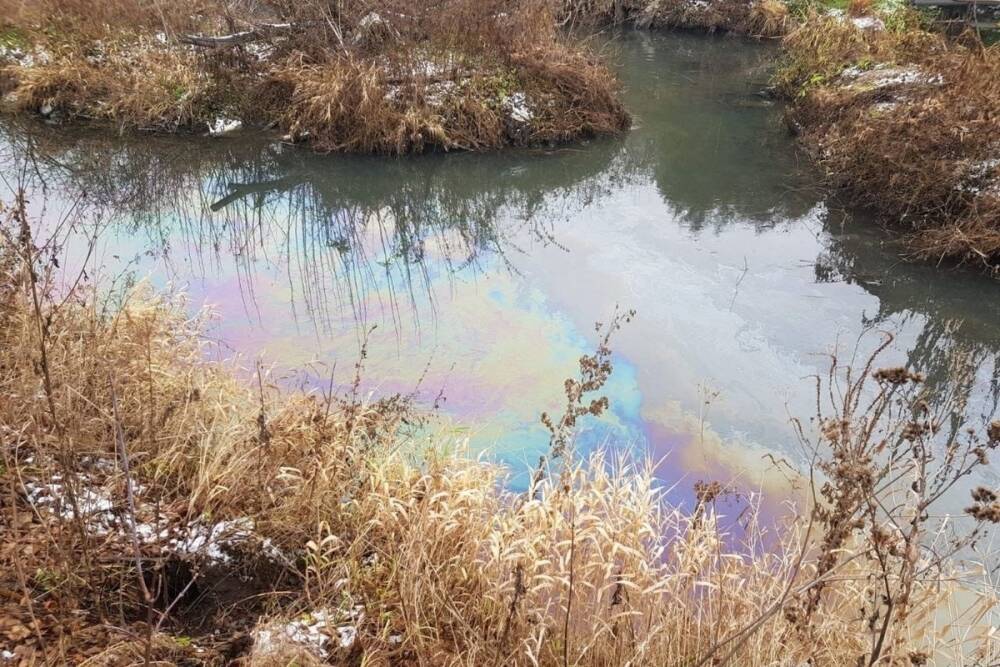 Тульская природоохранная прокуратура начала проверку по факту загрязнения реки Воронка