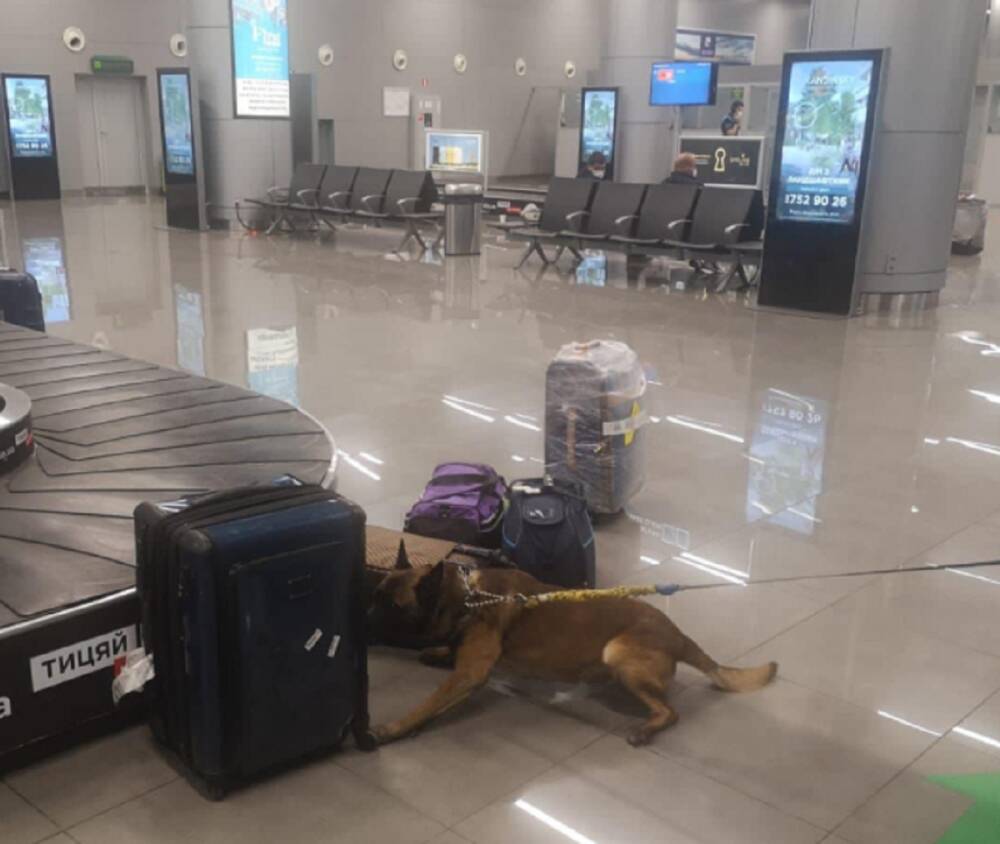 ЧП в аэропорту Одессы: чемодан туристки вызвал переполох, фото