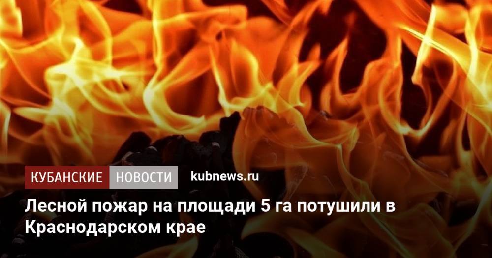 Лесной пожар на площади 5 га потушили в Краснодарском крае
