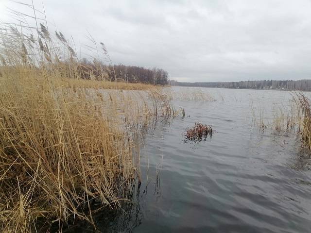 Найдена лодка с пробоиной: на озере Увильды ведутся поиски утонувшего рыбака