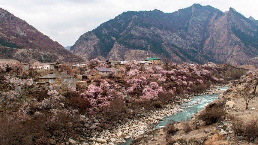 Река в Дагестане превратилась в свалку шприцев и ампул: кто виноват и чем это опасно