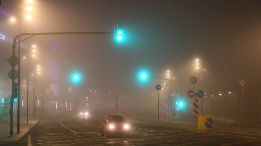 Эколог объяснил появление сильного тумана в Москве