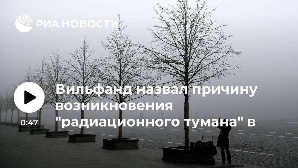 Научный руководитель Гидрометцентра Вильфанд: в Москве наблюдается "радиационный туман"