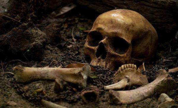 В подвале тюменской больницы нашли пальцы рук, ноги и другие человеческие останки