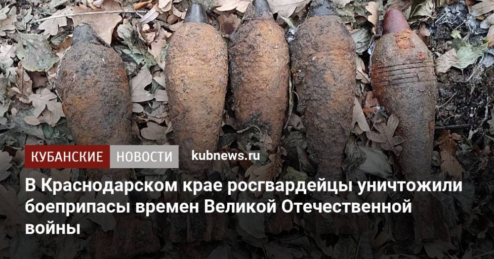 В Краснодарском крае росгвардейцы уничтожили боеприпасы времен Великой Отечественной войны